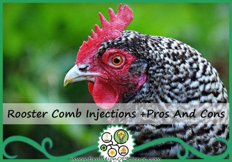 Rooster Comb Injections 768x538 